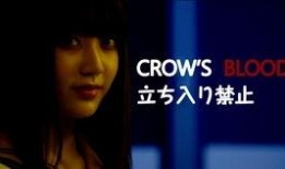 crowsblood在线观看,在线观看，揭秘神秘血族传奇